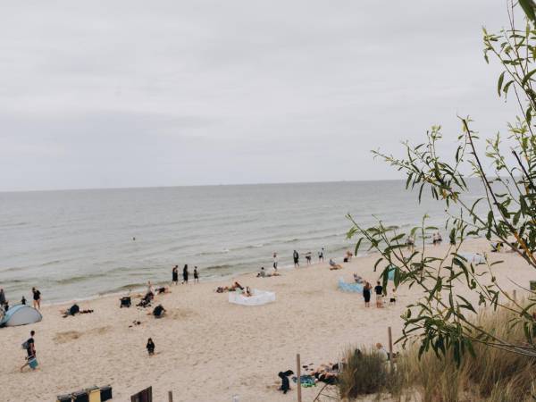 Apartament Szumiący Las