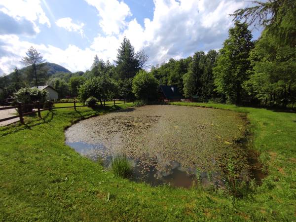 Domki nad Rzeką Solinką