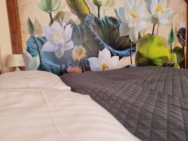 Studio 4-osobowe (parter)