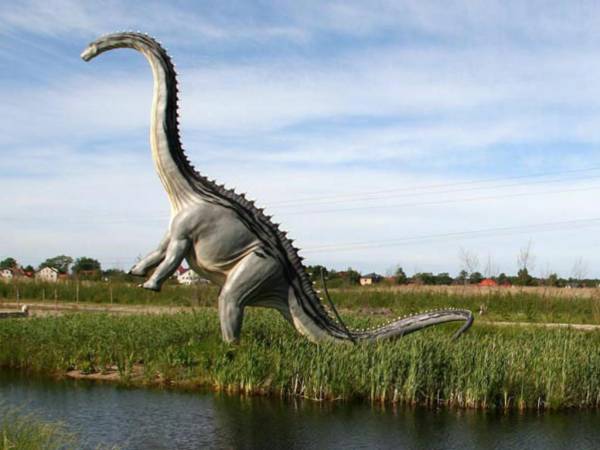 Pokoje Gościnne ELF