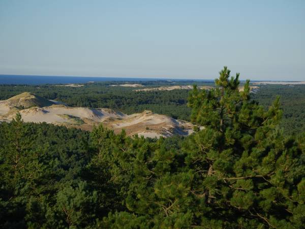 wydma Czołpińska z góry