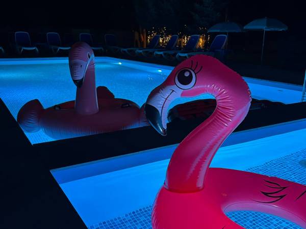 Jurajskie Apartamenty