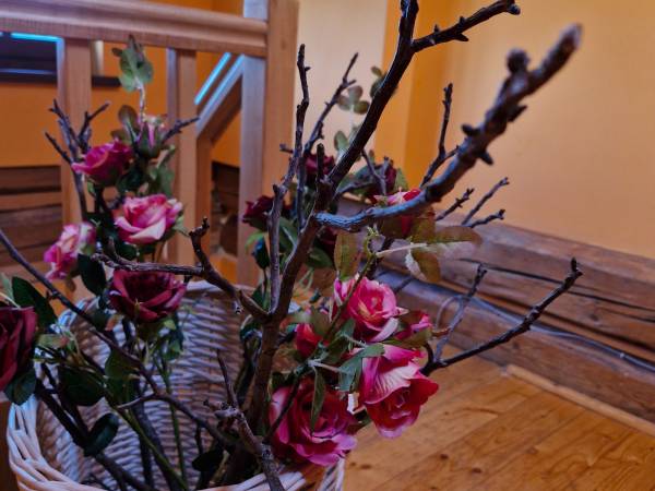 Chata pod Mogielicą