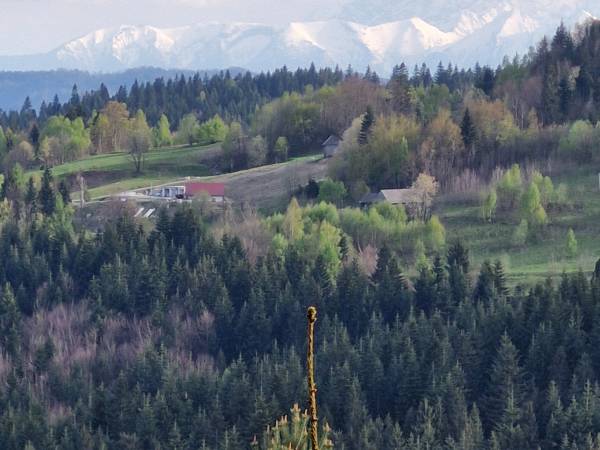 Chata pod Mogielicą