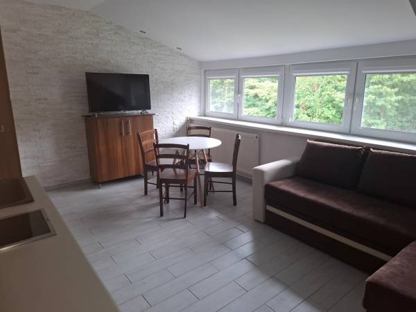 Apartament dwupokojpwy Classic