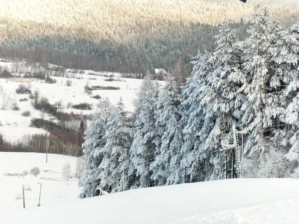 Pokoje gościnne "U Moniki" 