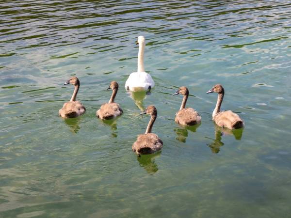 Ośrodek Wypoczynkowy Twardy Dół