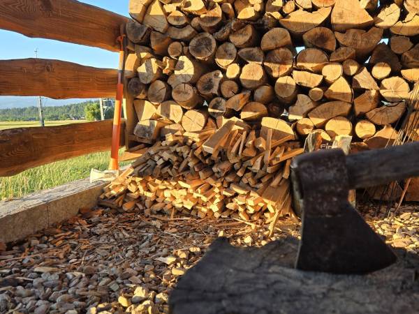 Drewno na ognisko