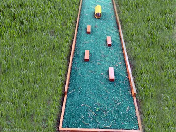 MINIGOLF