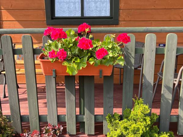 Domki letniskowe Krajan