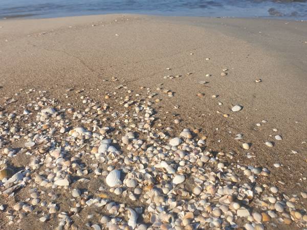 Pokoje Gościnne ArGo