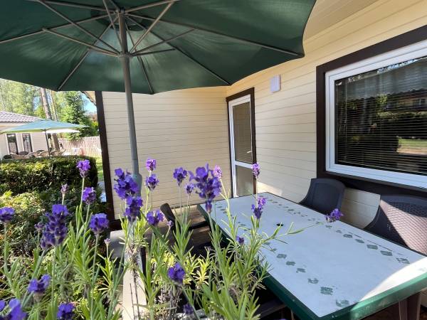 Sosenkowo Domki letniskowe 