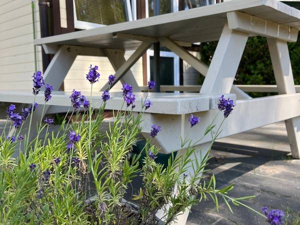 Sosenkowo Domki letniskowe 