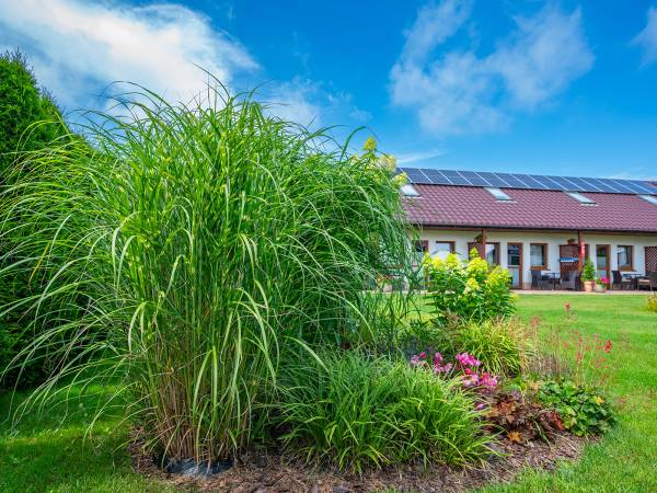 Apartamenty Gaja Darłówko