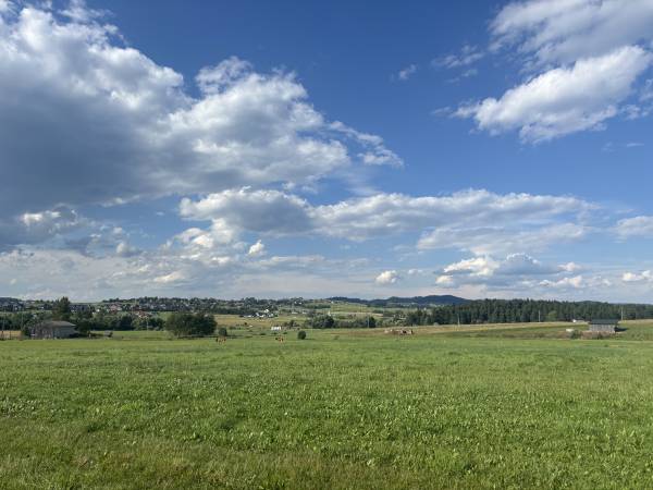 Chatki ŁoRawa w Jabłonce