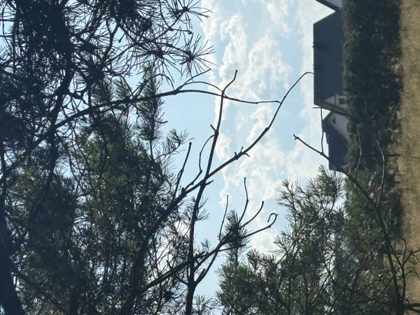 Chatki ŁoRawa w Jabłonce