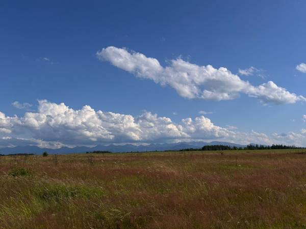 Chatki ŁoRawa w Jabłonce