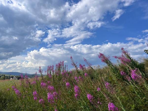 Chatki ŁoRawa w Jabłonce