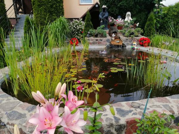 Oczko wodne Na Zaciszu