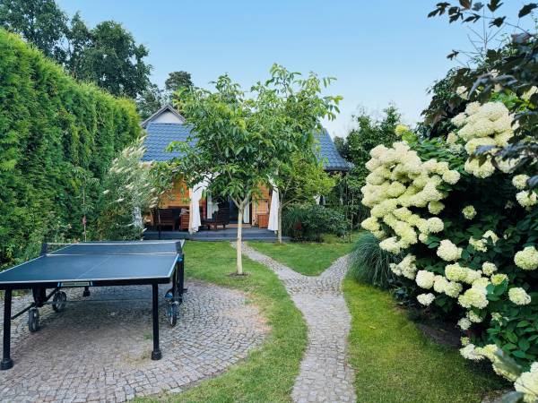 stół do tenisa stołowego