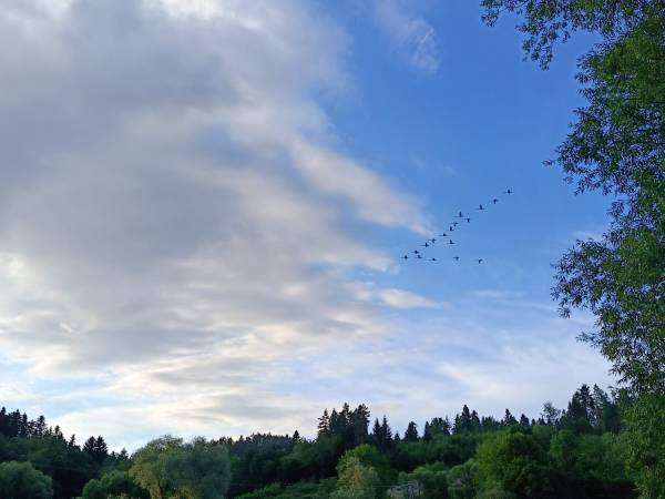 The Center Apartments