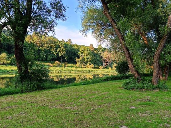 The Center Apartments