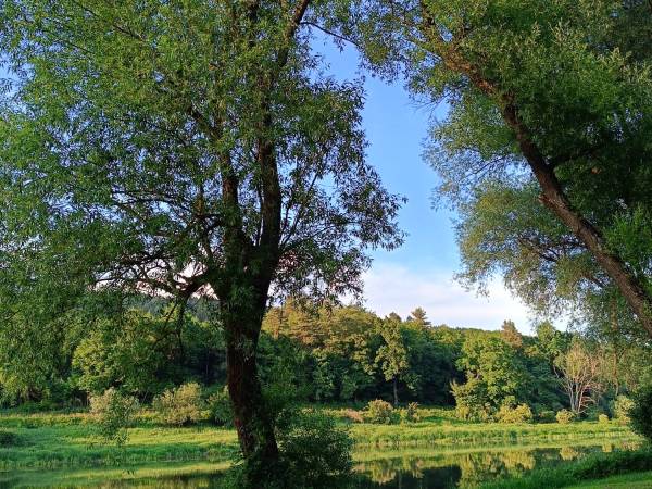 The Center Apartments