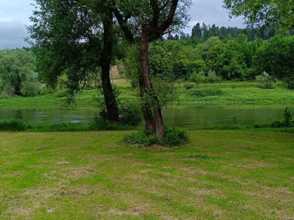 The Center Apartments