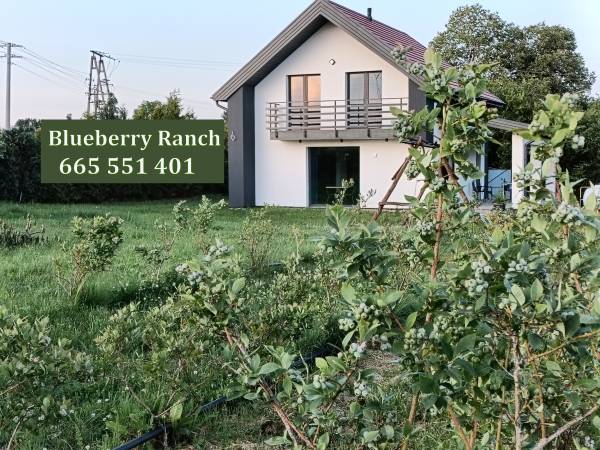 Blueberry Apartament Agroturystyka 