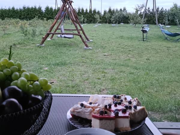 Blueberry Apartament Agroturystyka 