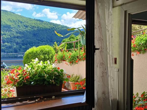 Zacisze Nad Jeziorem