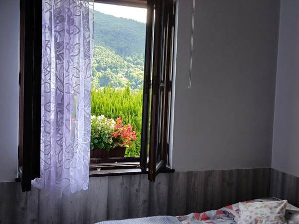 Zacisze Nad Jeziorem