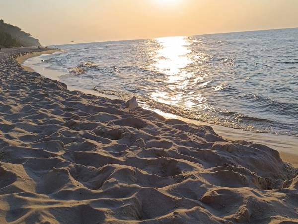 Szary Domek Nad Jeziorem