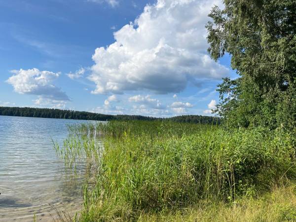 jezioro Studzieniczne