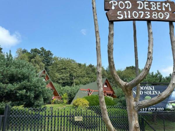  Bieszczady Pod Dębem 