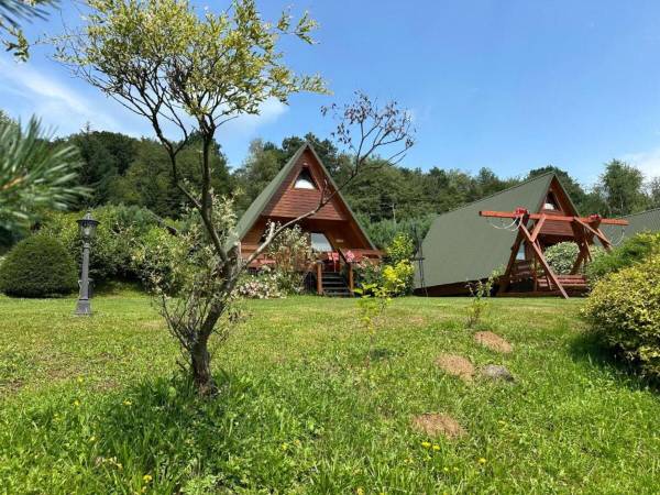  Bieszczady Pod Dębem 