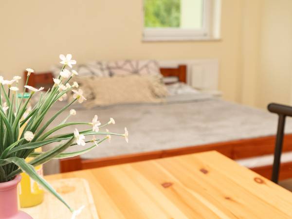 Agroturystyka "Za Dębem"