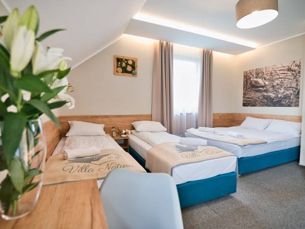 Villa Natura Zator Przeciszów