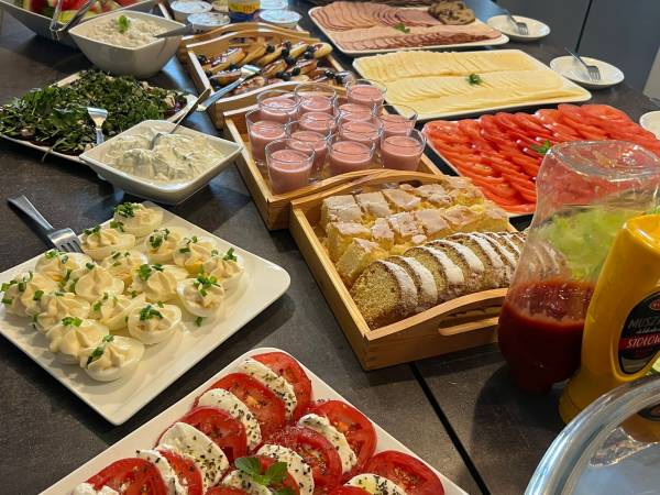 Villa Natura Zator Przeciszów