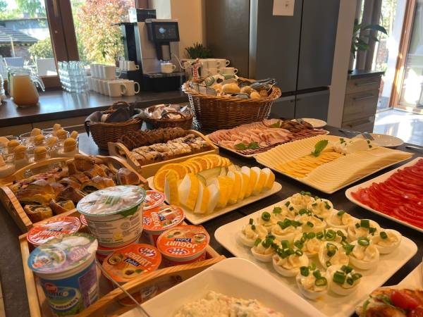 Villa Natura Zator Przeciszów