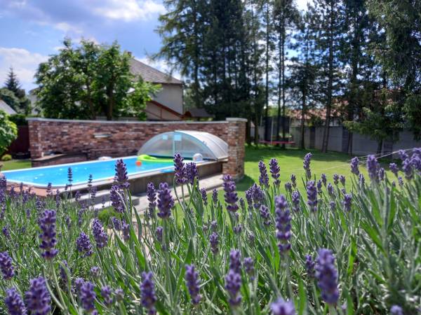 Villa Natura Zator Przeciszów