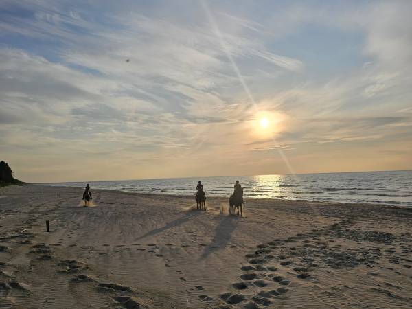 Dom Wypoczynkowy Laguna