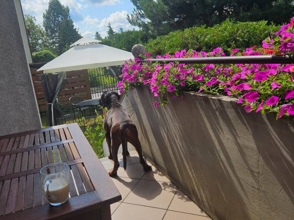 Pokoje Do Wynajęcia