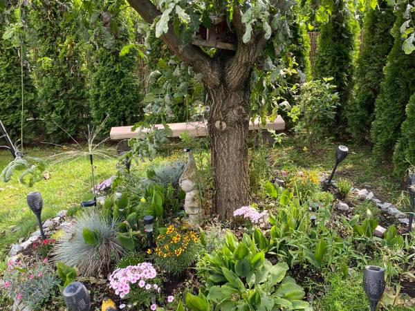 Dom Wakacyjny Gajówka z ogrodem na wyłączność