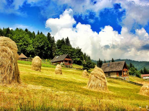 Domki u Johnnego na Obidzy