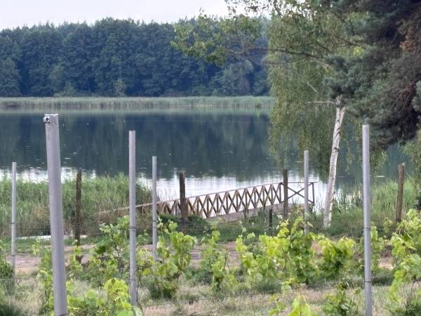 Kemping Park Winna Górka