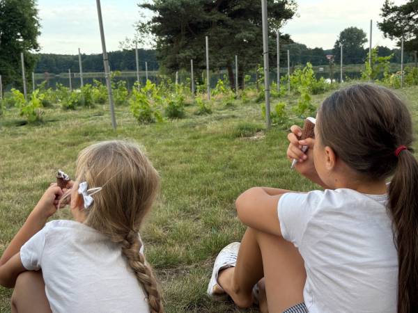 Kemping Park Winna Górka