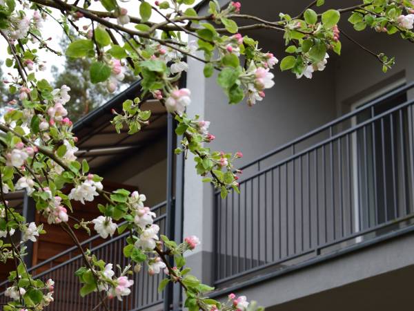 Ośrodek Wczasowo Wypoczynkowy Słoneczny Brzeg