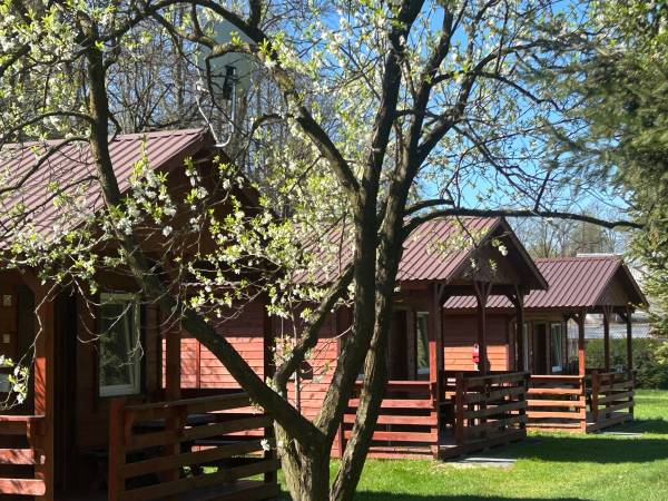 Domki Letniskowe W Ogrodzie