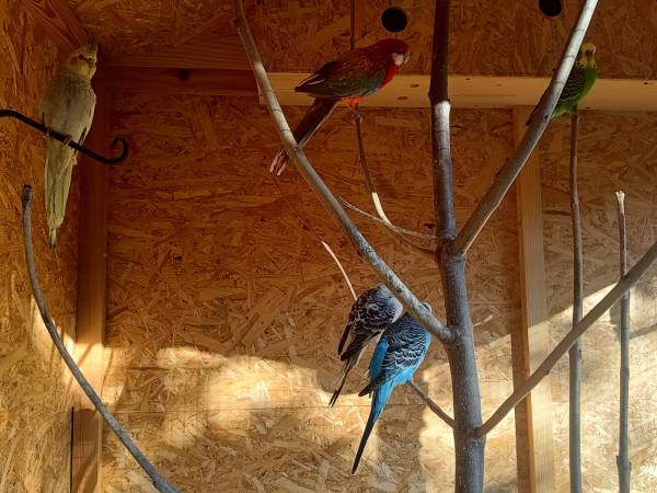 Dom Wypoczynkowy u Kasi